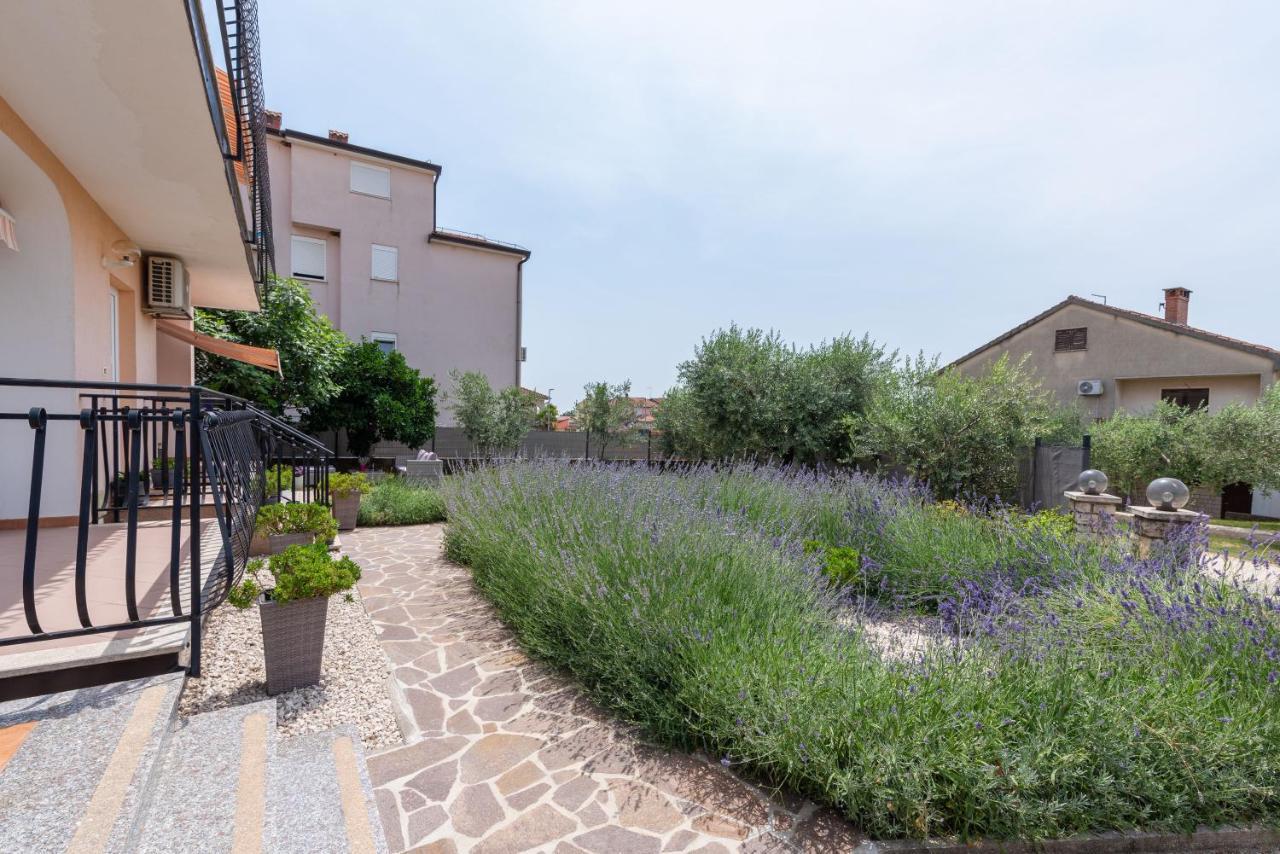 Apartment Masha Novigrad Istria Exterior foto